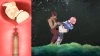 1747216961507.jpeg