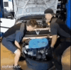1000286822.gif