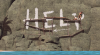 1747325007511.png