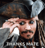 IMG_4550.gif