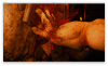 Screen Shot 2024-03-05 at 10.42.29 AM.png