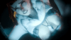 Freja x Hologram (Game Uniform).gif