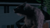 tenor.gif