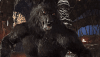 tenor.gif