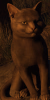 screenshot0003.png
