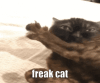 freak-freaky.gif