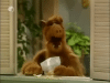 alf laughing.gif
