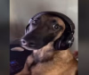 495053956_1003666681966065_47939.png