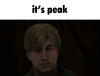 peak.gif
