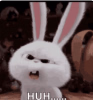 1747529071694.png