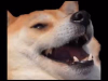 1690248573610368.png