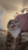 1000069996.gif