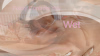 pussyworship_1.png pussyworship_1.png