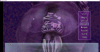1747572240515.png