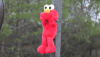Roasted Elmo.gif