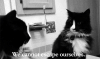 deep catto