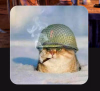 Screenshot 2025-05-18 171042.png
