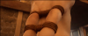 1747651550396.png