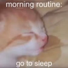 1747714939791.png