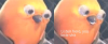 1747745885553.png