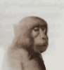 IMG_6134.gif