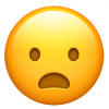 1747760503554.png