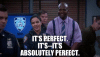 absolutely-perfect.gif