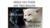 1747802373883.png