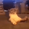 1001820326.gif