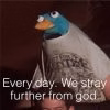 images (8).jpeg