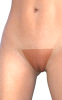 iray.png