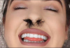 1747865280581.png