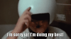 561yvbexhlp61.gif