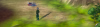 1747902850310.png