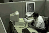 guaton-computadora.gif