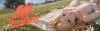 NTS honeymoon banner.png NTS honeymoon banner.png