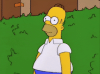 homerBush.gif