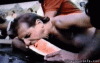 tpb612-an-dua.gif