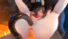 Hu Tao Video 1080p 60fps.gif