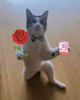 1748083938341.png