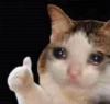 1748192014969.png
