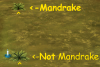1748209733026.png