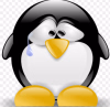 1748212929346.png