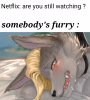 1748215775232.png