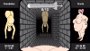 ss-12.png ss-12.png