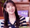 iu-palette(1).gif