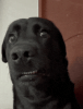 1748272684541.gif