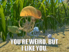 youre-weird-i-like-you.gif