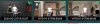 bug.JPG