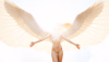 144_mila_angela.png 144_mila_angela.png